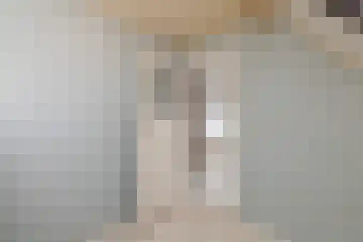 Piet Heinstraat 27 Sliedrecht thumbnail 23