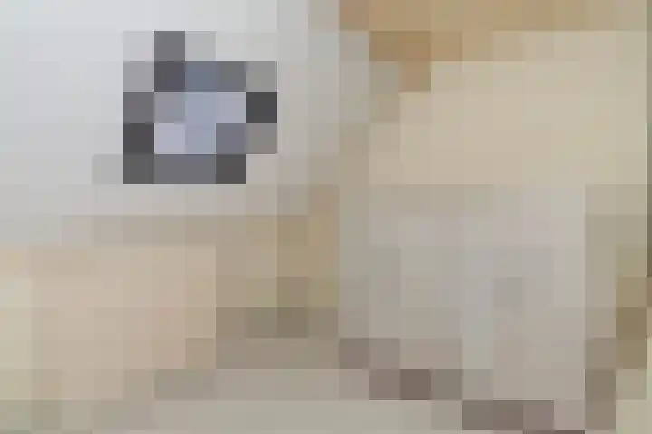 Piet Heinstraat 27 Sliedrecht thumbnail 24