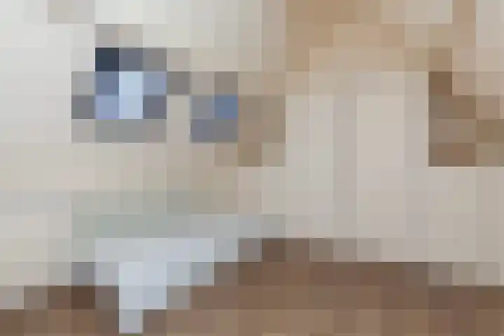 Piet Heinstraat 27 Sliedrecht thumbnail 26