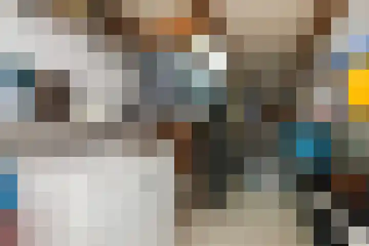 Piet Heinstraat 27 Sliedrecht thumbnail 28