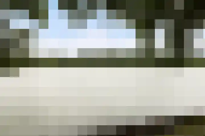 Piet Heinstraat 27 Sliedrecht thumbnail 33