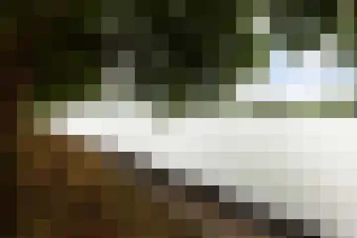 Piet Heinstraat 27 Sliedrecht thumbnail 34