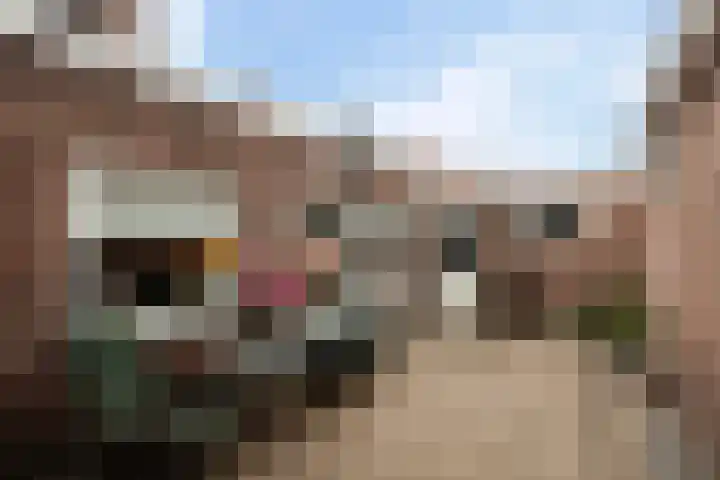 Piet Heinstraat 27 Sliedrecht thumbnail 5