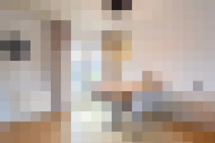 Piet Heinstraat 3 Oldenzaal thumbnail 10