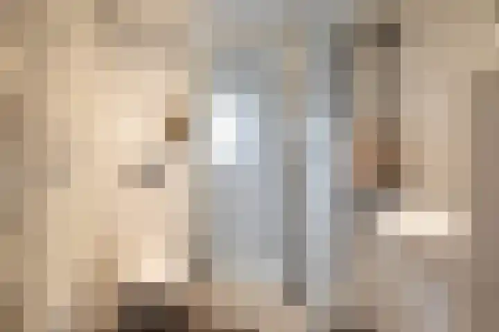 Piet Heinstraat 3 Oldenzaal thumbnail 17