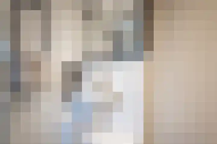 Piet Heinstraat 3 Oldenzaal thumbnail 18
