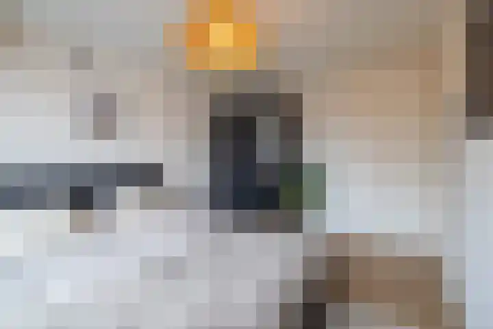 Piet Heinstraat 3 Oldenzaal thumbnail 22