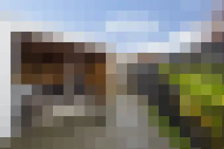 Piet Heinstraat 3 Oldenzaal thumbnail 26