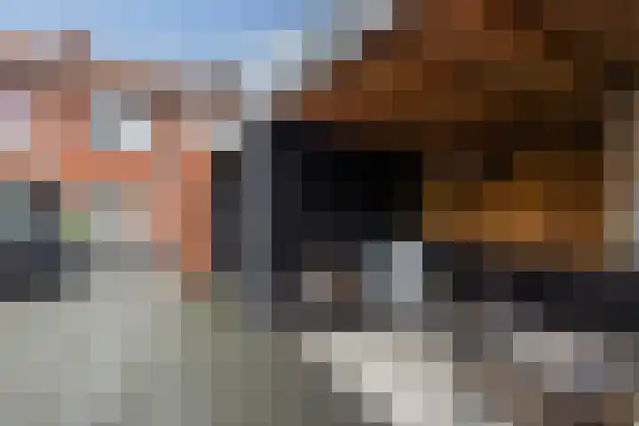 Piet Heinstraat 3 Oldenzaal thumbnail 4