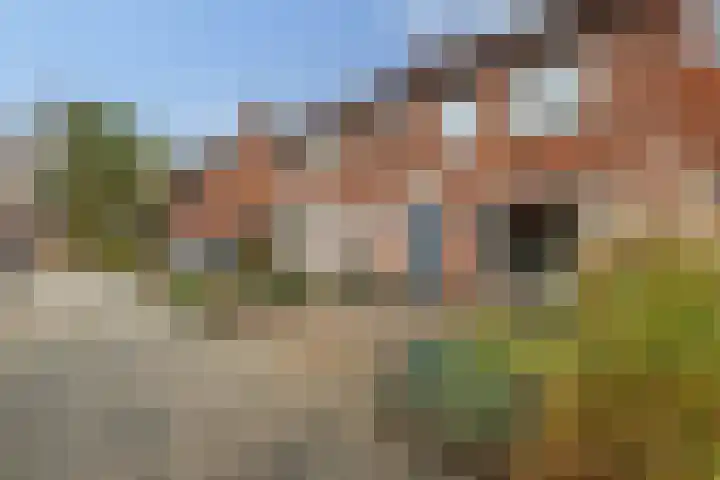 Piet Heinstraat 3 Oldenzaal thumbnail 5