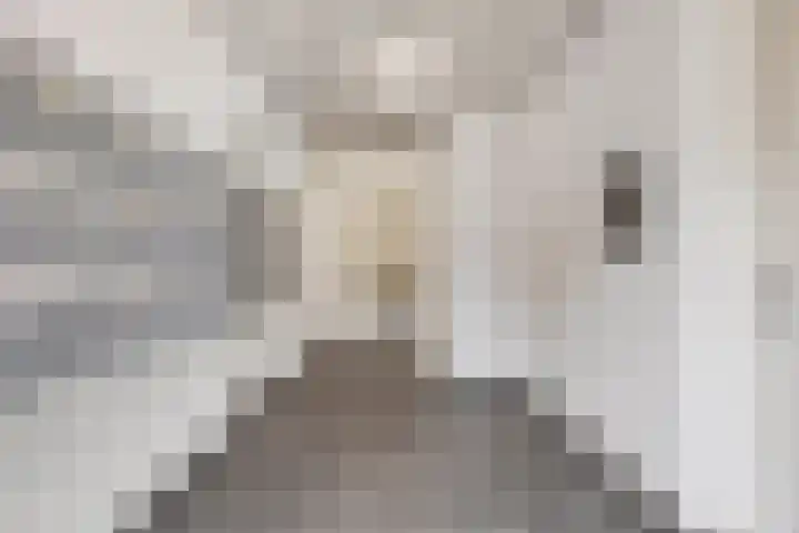 Piet Heinstraat 30 107 Goes thumbnail 13