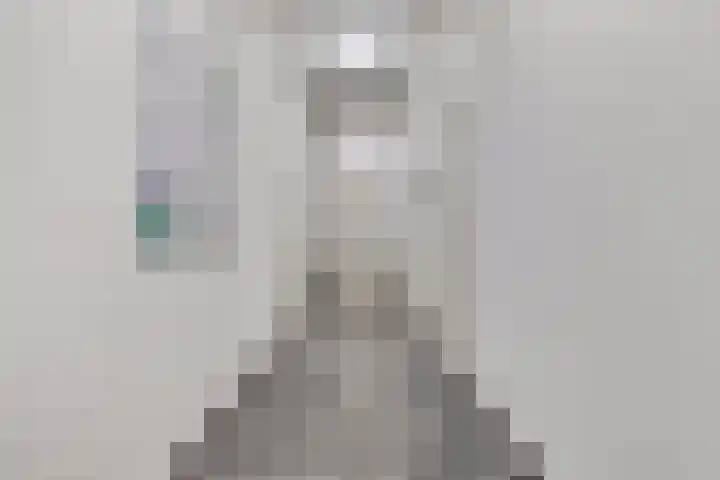 Piet Heinstraat 30 107 Goes thumbnail 16