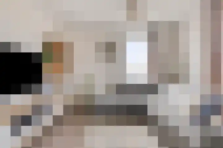 Piet Heinstraat 30 107 Goes thumbnail 25