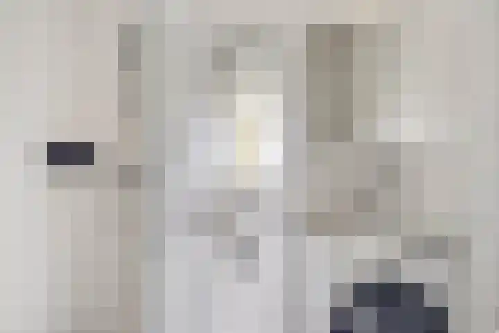 Piet Heinstraat 30 107 Goes thumbnail 34