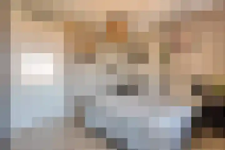 Piet Heinstraat 30 107 Goes thumbnail 4