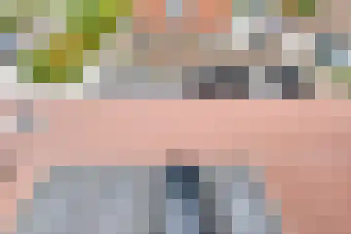 Piet Heinstraat 30 107 Goes thumbnail 40