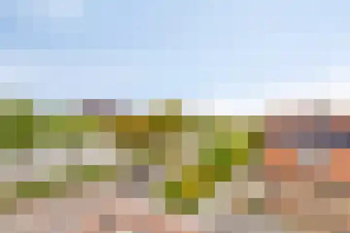 Piet Heinstraat 30 107 Goes thumbnail 42