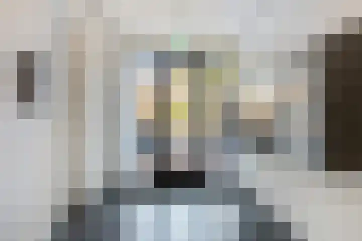 Piet Heinstraat 30 107 Goes thumbnail 6
