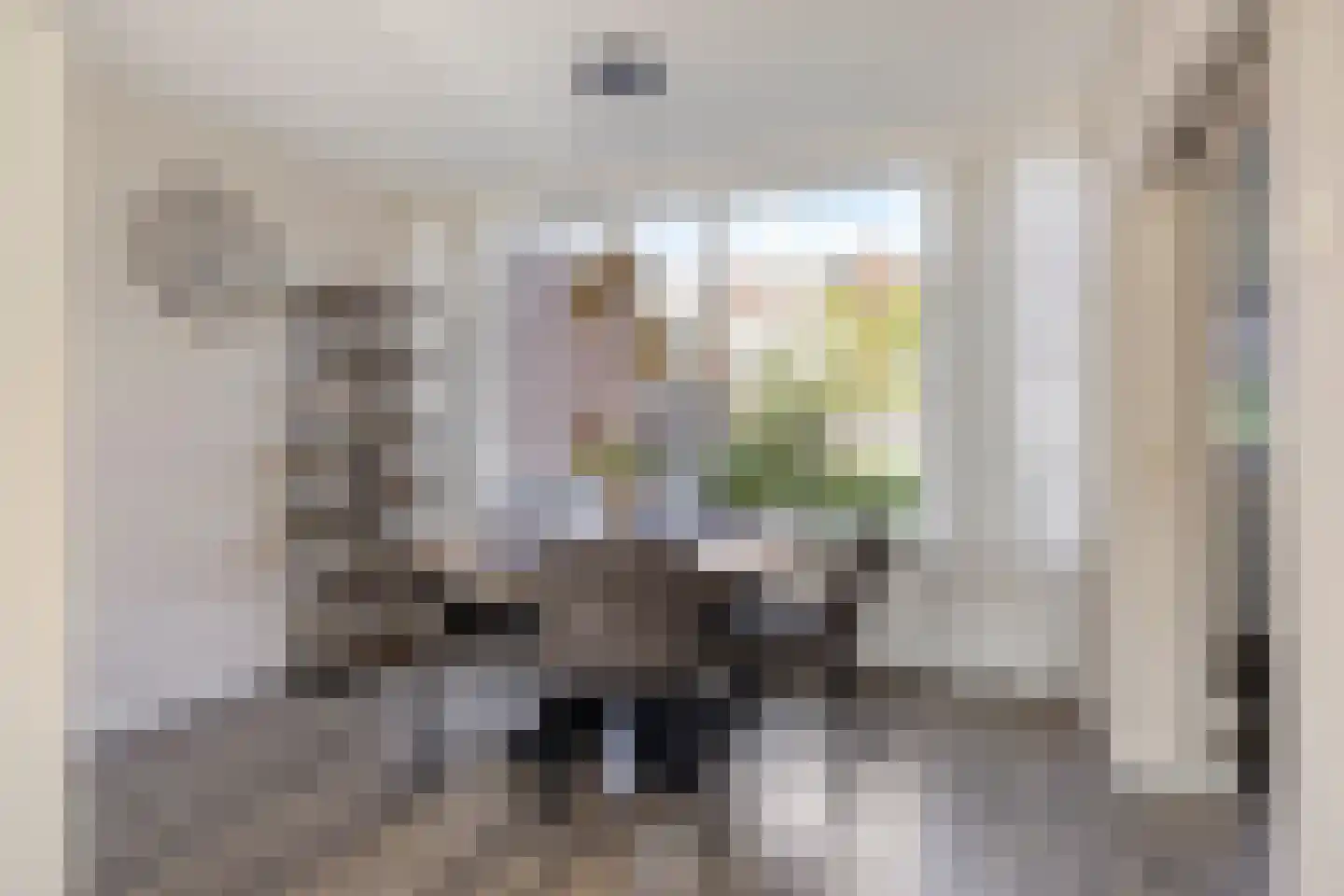 Piet Heinstraat 30 Borne thumbnail 10
