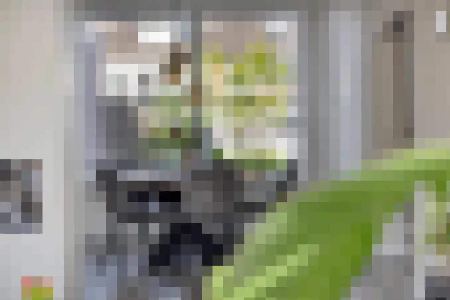 Piet Heinstraat 30 Borne thumbnail 11