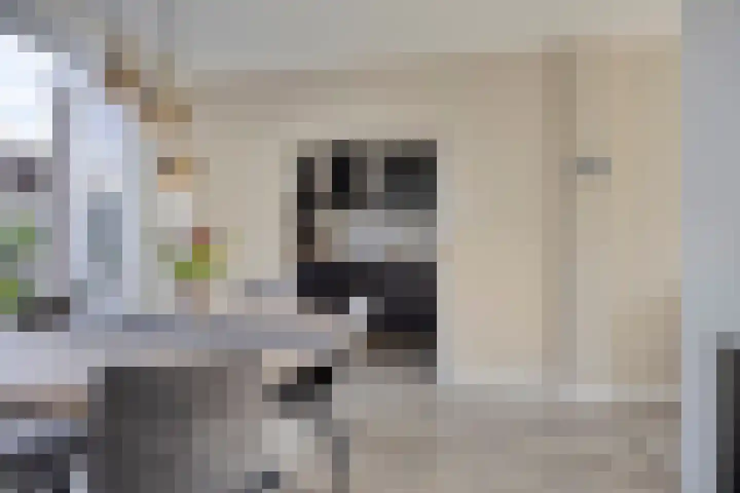 Piet Heinstraat 30 Borne thumbnail 12