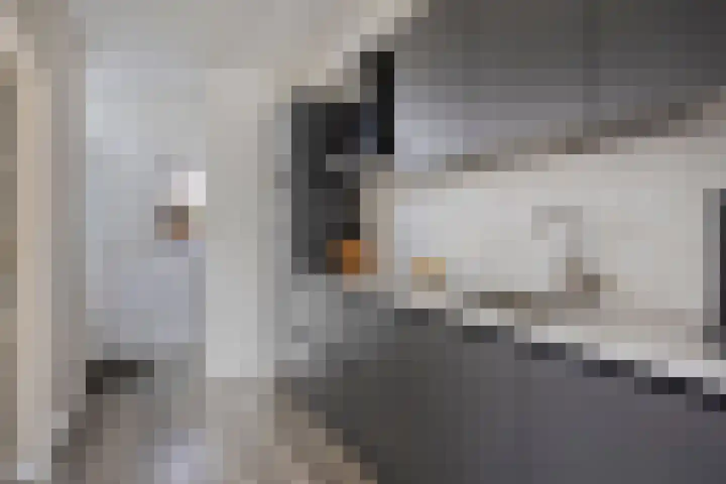Piet Heinstraat 30 Borne thumbnail 14