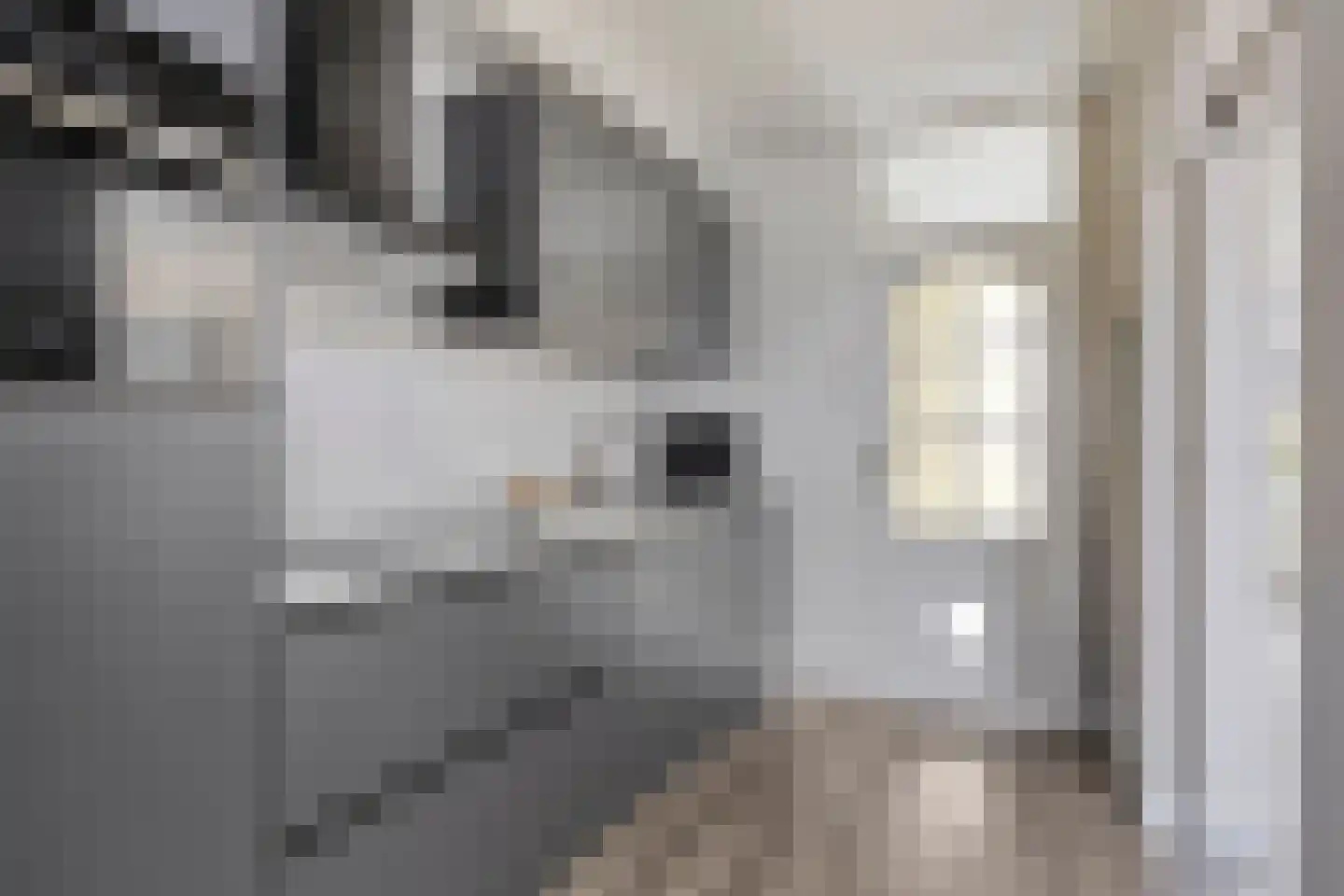 Piet Heinstraat 30 Borne thumbnail 15