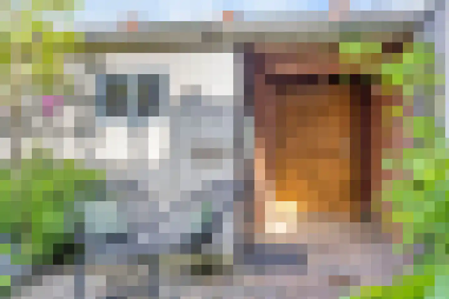 Piet Heinstraat 30 Borne thumbnail 17