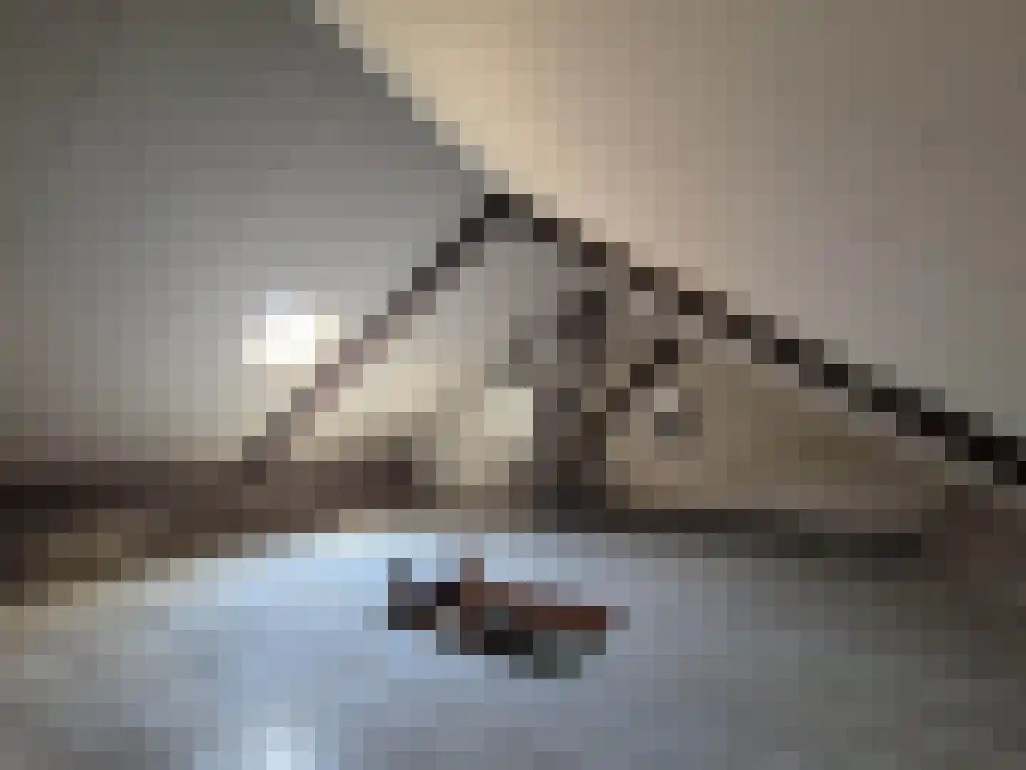 Piet Heinstraat 30 Borne thumbnail 28