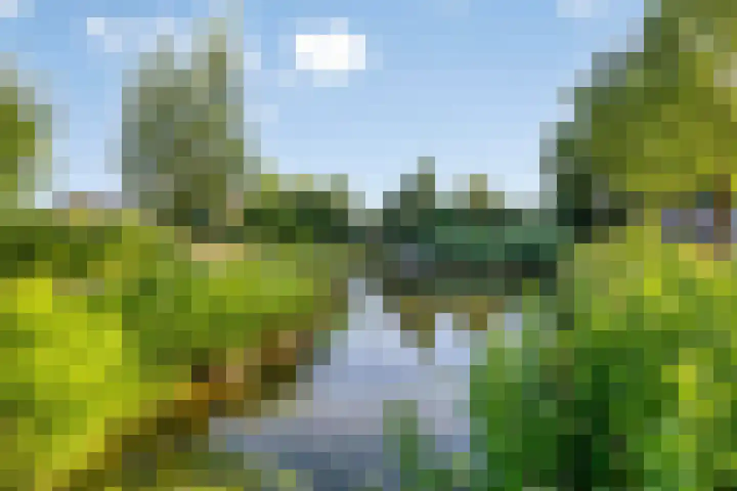 Piet Heinstraat 30 Borne thumbnail 31