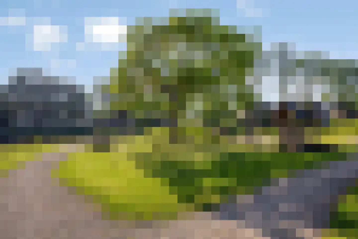 Piet Heinstraat 30 Borne thumbnail 33
