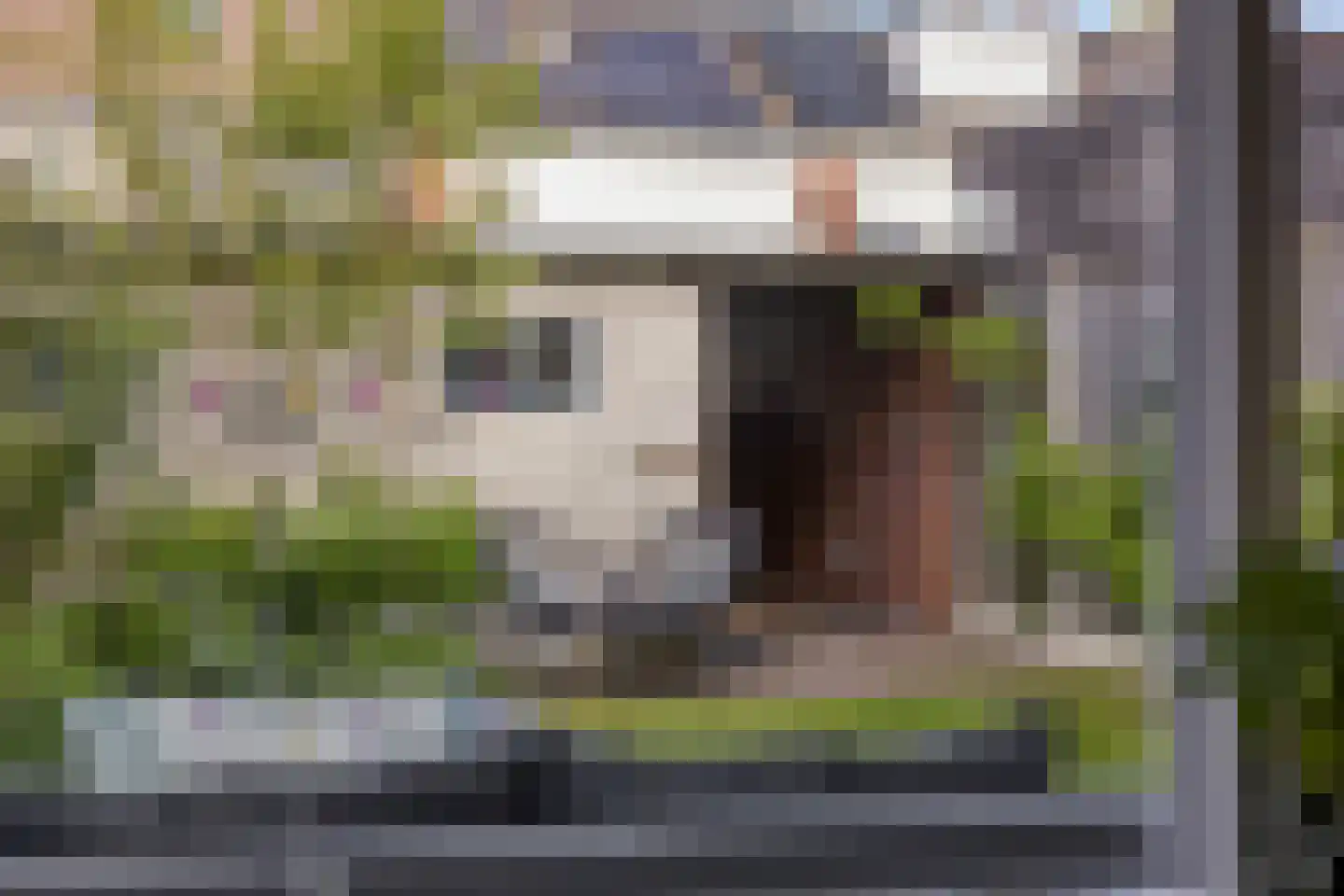 Piet Heinstraat 30 Borne thumbnail 5