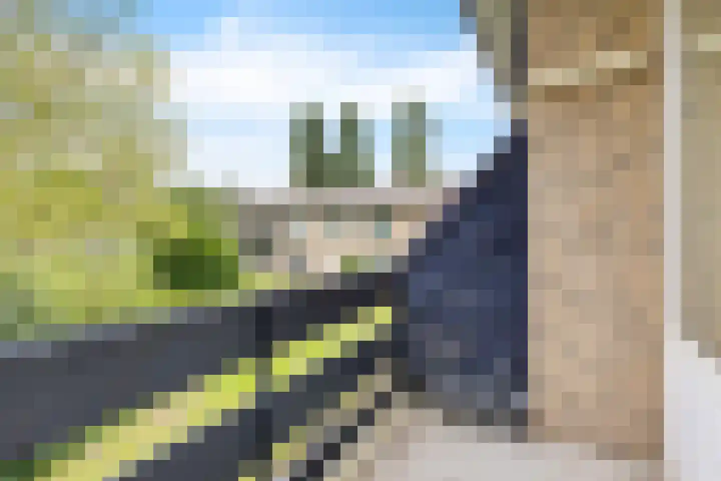 Piet Heinstraat 31 Boxmeer thumbnail 10