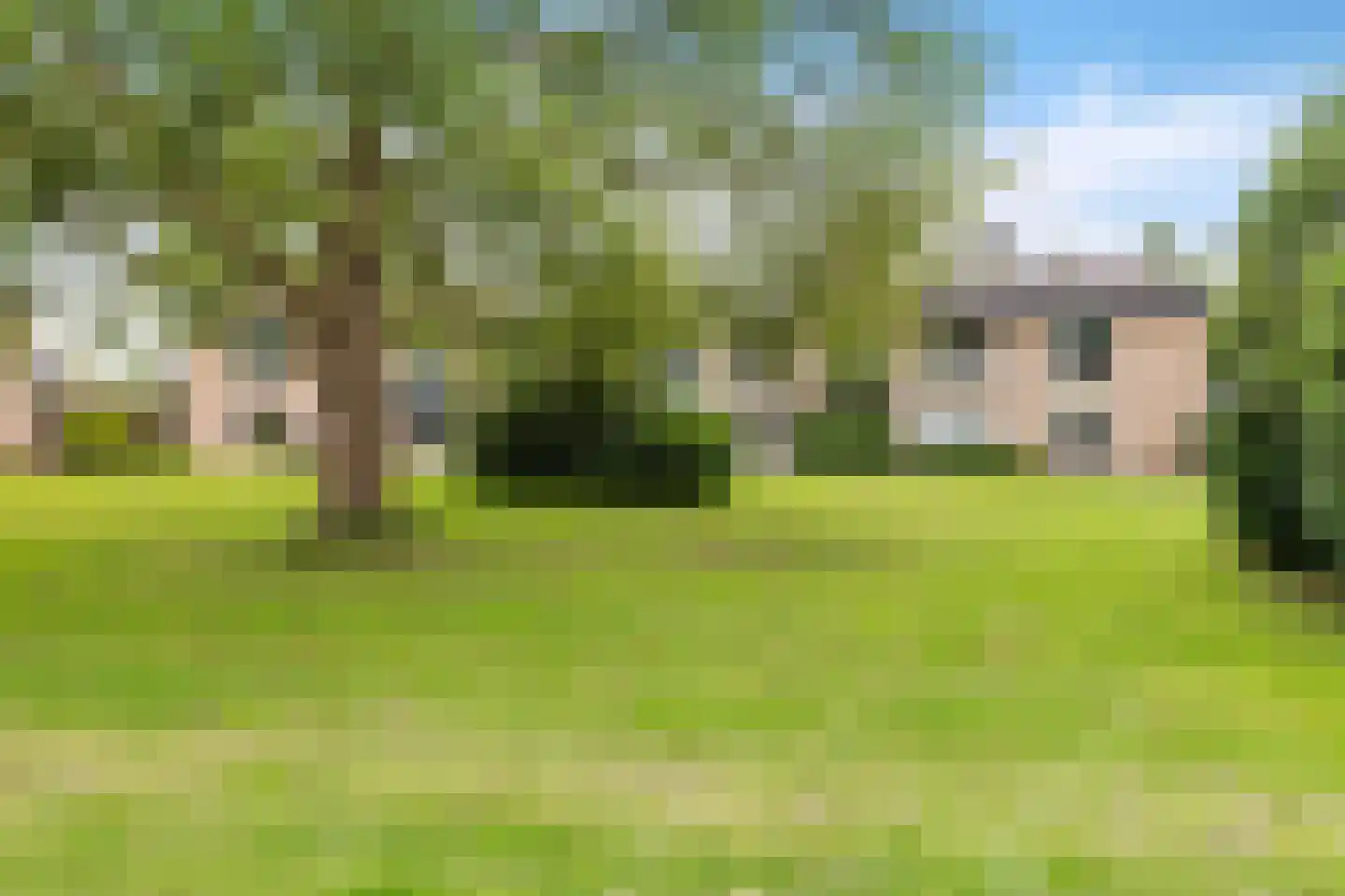 Piet Heinstraat 31 Boxmeer thumbnail 28