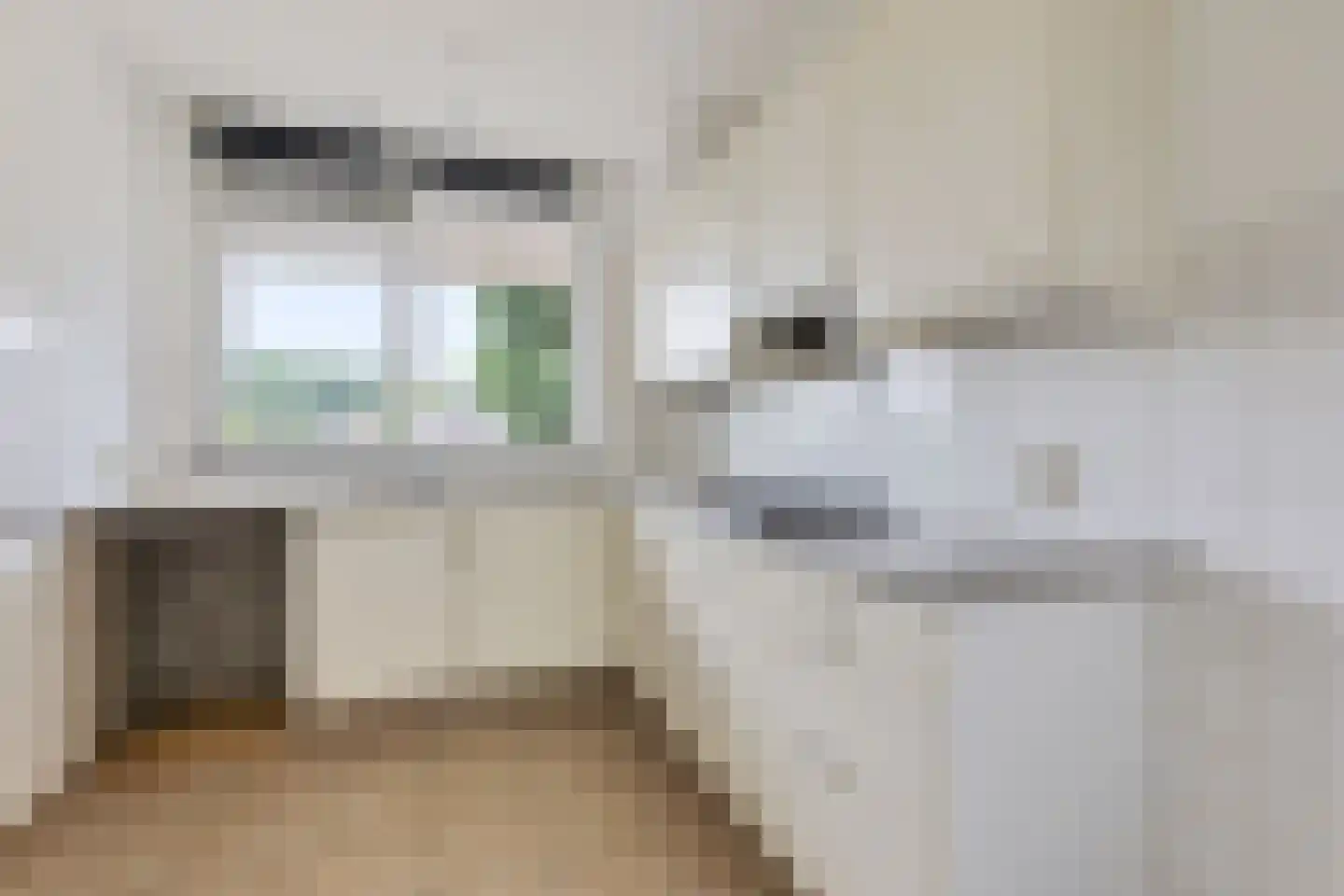 Piet Heinstraat 31 Boxmeer thumbnail 5