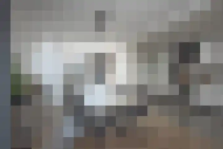 Piet Heinstraat 32 Borne thumbnail 12
