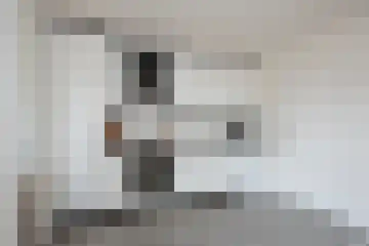 Piet Heinstraat 32 Borne thumbnail 13