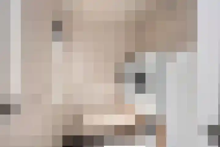 Piet Heinstraat 32 Borne thumbnail 14