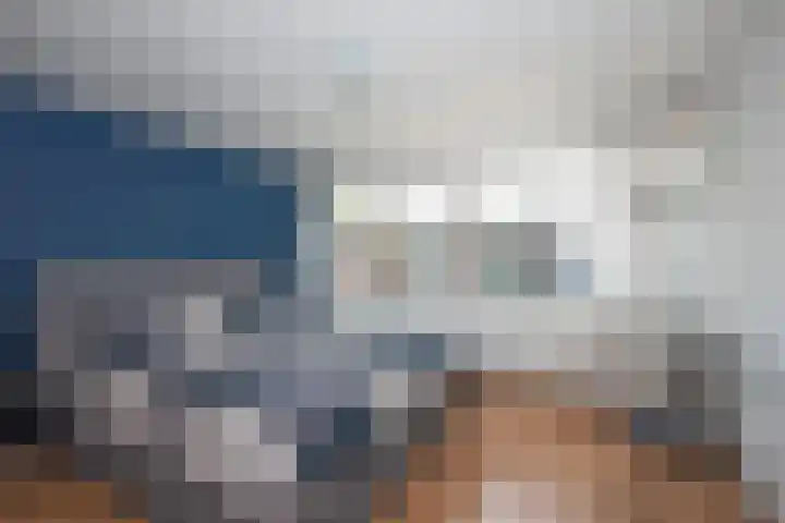 Piet Heinstraat 32 Borne thumbnail 16