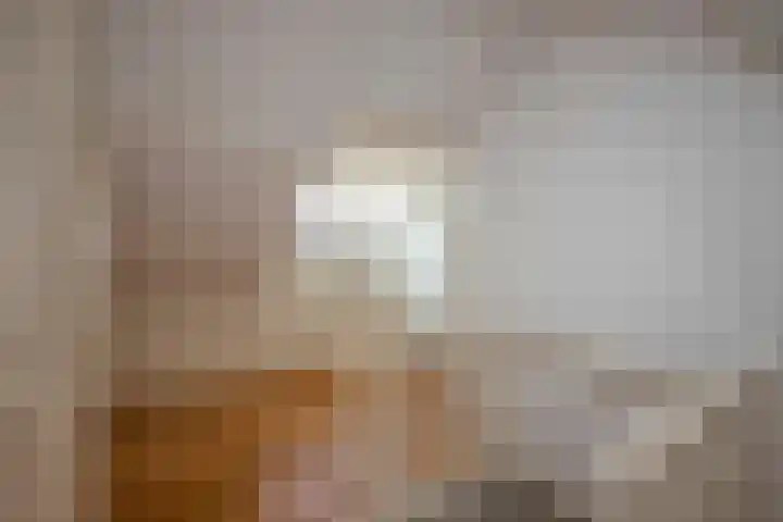 Piet Heinstraat 32 Borne thumbnail 21