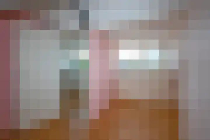 Piet Heinstraat 32 Borne thumbnail 22