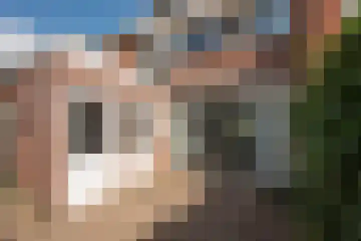 Piet Heinstraat 32 Borne thumbnail 24