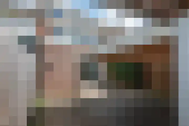 Piet Heinstraat 32 Borne thumbnail 25