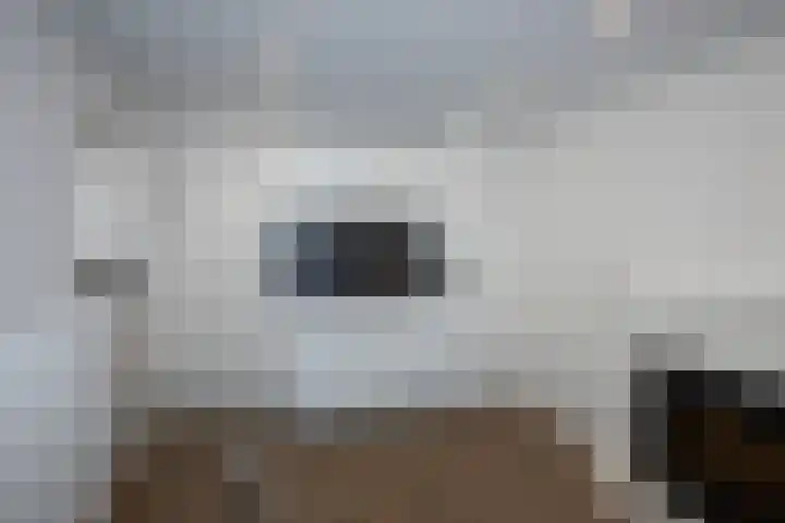 Piet Heinstraat 32 Borne thumbnail 27