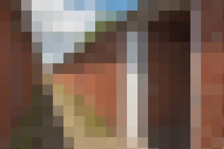 Piet Heinstraat 32 Borne thumbnail 29