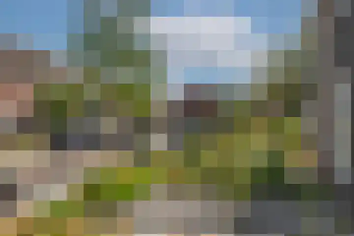Piet Heinstraat 32 Borne thumbnail 30