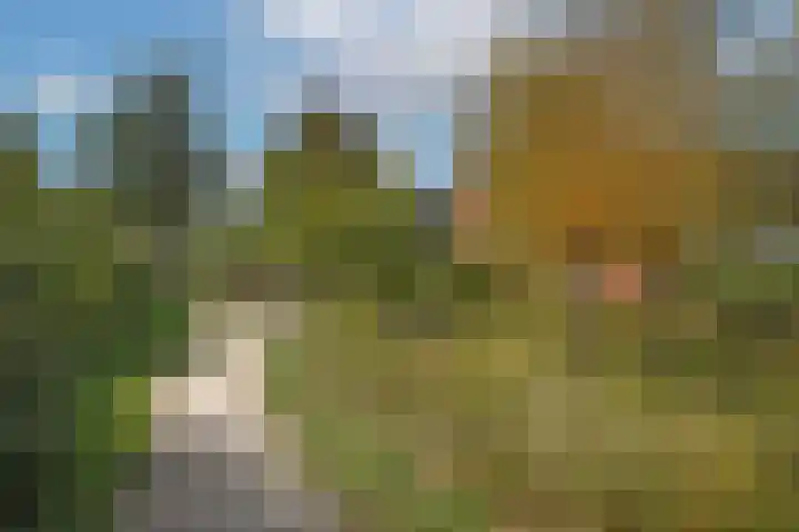 Piet Heinstraat 32 Borne thumbnail 33