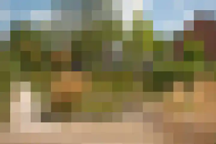 Piet Heinstraat 32 Borne thumbnail 34