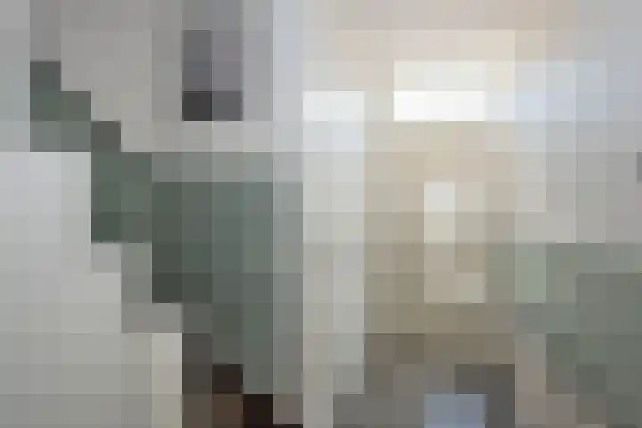 Piet Heinstraat 32 Borne thumbnail 6