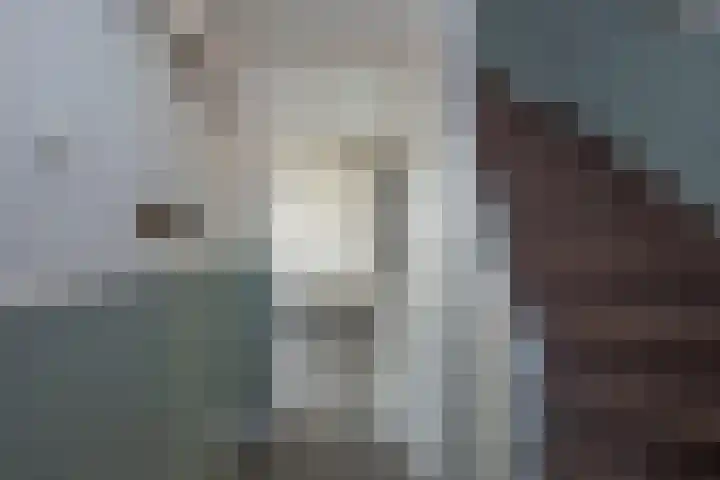 Piet Heinstraat 32 Borne thumbnail 8